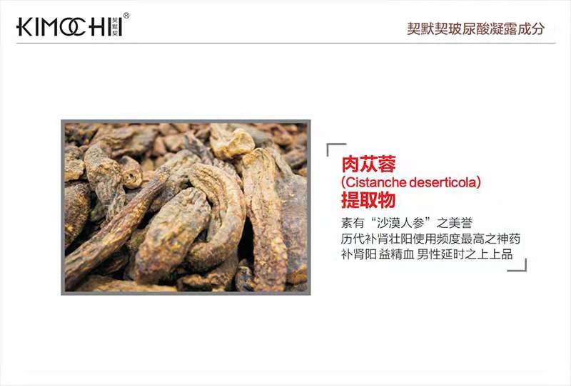 鹿13.jpg