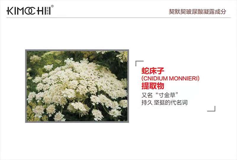鹿12.jpg